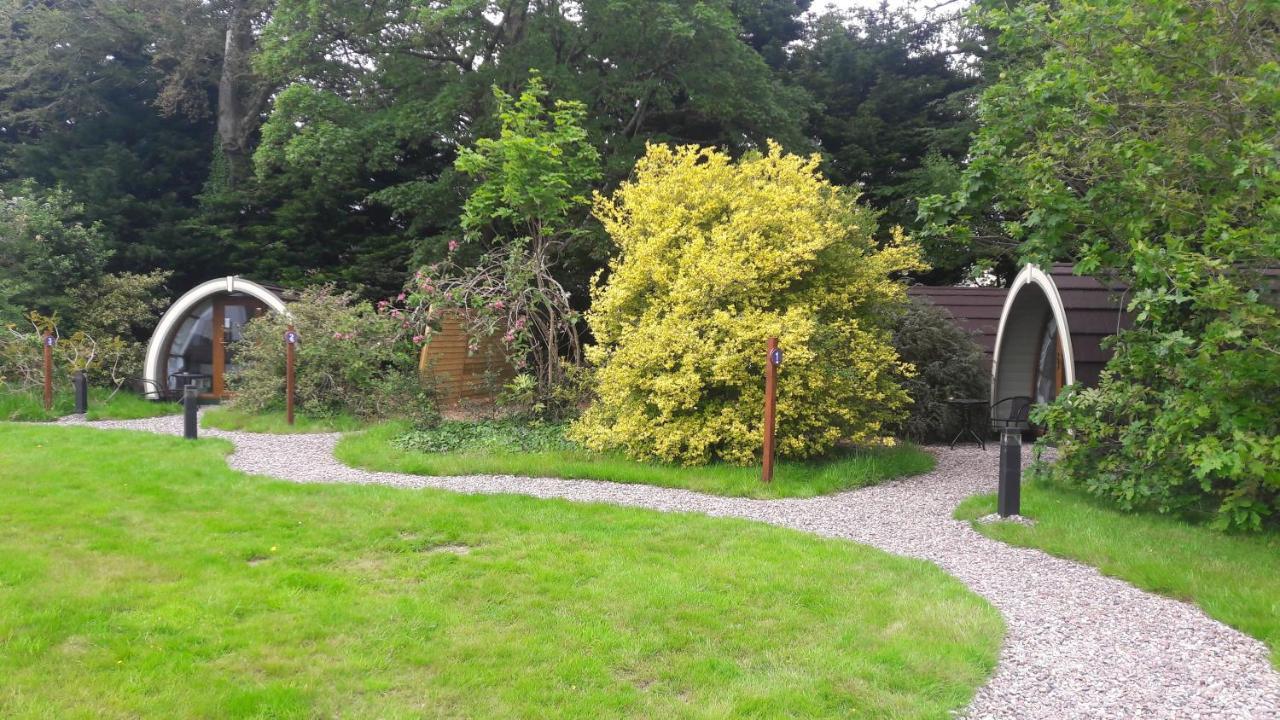 Priory Glamping Pods And Guest Accommodation Killarney Exterior foto