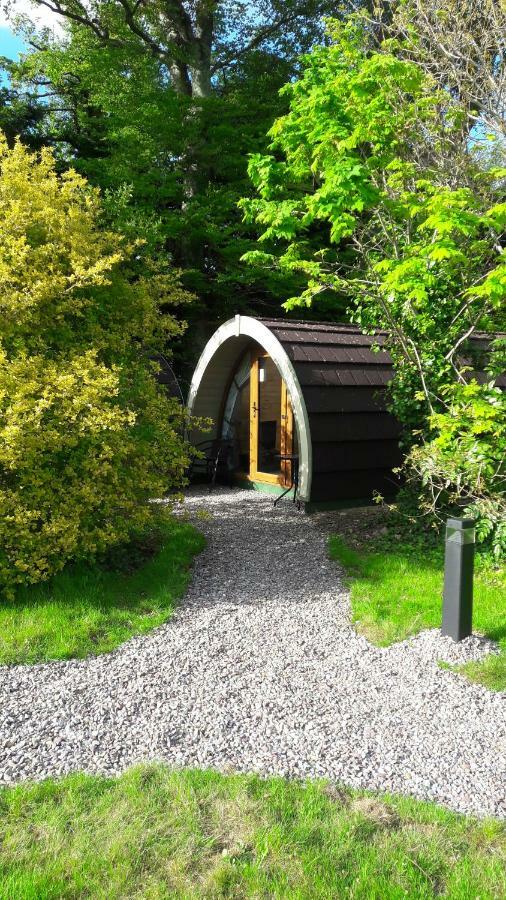 Priory Glamping Pods And Guest Accommodation Killarney Exterior foto