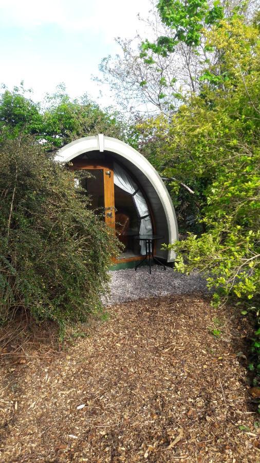 Priory Glamping Pods And Guest Accommodation Killarney Exterior foto